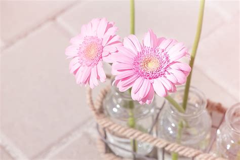 風水 桃花位|桃花位の出し方！「桃花風水」で恋愛運をアップする。